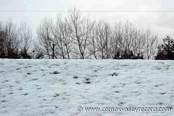 Snowfall warning issued for all of Vancouver Island – Comox Valley Record - Comox Valley Record