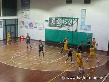 Il Basket Fermo supera gli 88ers Civitanova e consolida il 2° posto - Serie D Regionale Girone B - Basketmarche.it