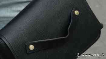 Fermo violenti e vigilanza su vittime, ok a ddl per donne - Italia - Agenzia ANSA