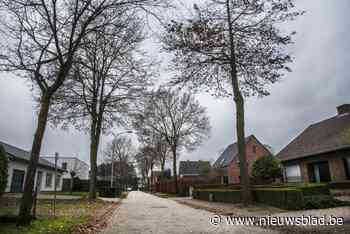 “Hoe stom reageer jij nu”: man krijgt onverwacht antwoord van schepen op kritische mail over bomenkap