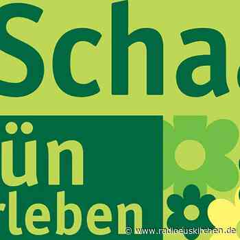 Oh Tannenbaum – Die große Radio Euskirchen-Weihnachtsbaumverlosung - radioeuskirchen.de