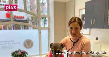 Tiersprechstunde in alter Apotheke in Idstein - Wiesbadener Kurier