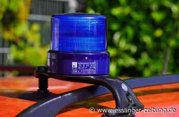 Brand in Ostfildern: Feuer wegen Heizstrahler in Gartenlaube - Ostfildern - esslinger-zeitung.de