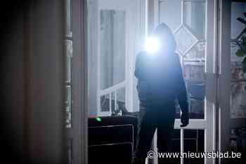 Bewoner staat oog in oog met inbreker