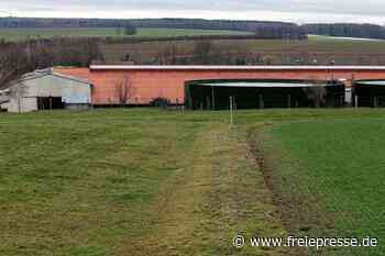 Bauarbeiten für Schweinestall sollen nächste Woche starten - Freie Presse