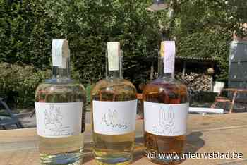 Oud Conynsbergh lanceert opnieuw zijn Sterke van Boechout