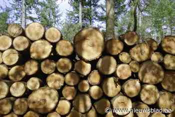 Oppositie vreest dat nog meer bomen uit centrum zullen verdwijnen door boombelasting