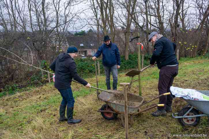 Vlaams-Brabanders planten meer dan 40.000 streekeigen struiken en bomen dankzij samenaankoop
