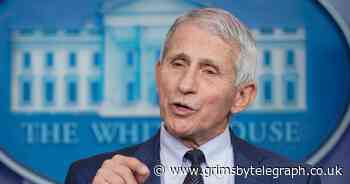 Fauci says early reports 'encouraging' about Omicron variant - Grimsby Live