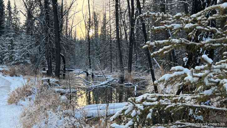 Mixed precipitation possible tomorrow in Calgary