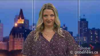 Waskesiu Tree Harvest Festival is On