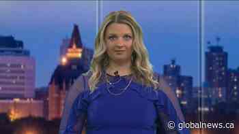 What to Watch December 2021