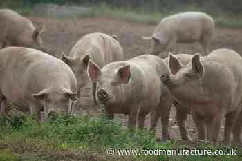 'Few' pork butchers go for Government emergency visa scheme