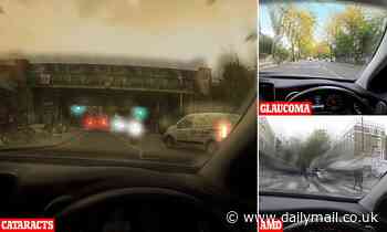 Heath: Terrifying images reveal what it's like driving with eye conditions like myopia and cataracts