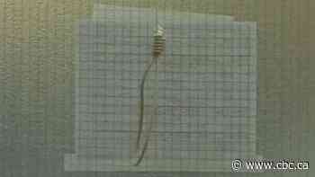 Surgeon handed 4-month suspension for noose incident at Alberta hospital