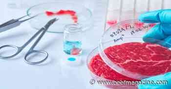 Cultured meat: 8 challenges in production