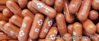 Traitement oral contre la COVID-19: Merck prépare sa distribution mondiale