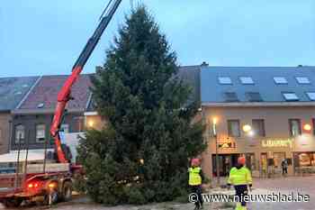 Kerstboom uit Francorchamps brengt hoop