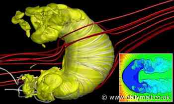 The solar system may be shaped like a croissant