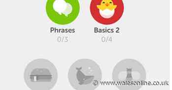 Japanese overtakes Welsh to become fastest growing language learnt on Duolingo