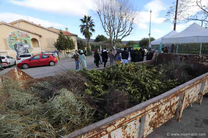 Pour en finir avec le brûlage des déchets verts, une benne se déplace dans les collines de Nice pour les récolter