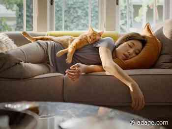 Watch the newest commercials from Upwork, Fresh Step, Under Armour and more