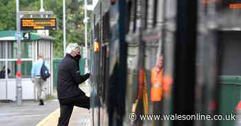Emergency train timetable rolled out by Transport for Wales ahead of Storm Barra