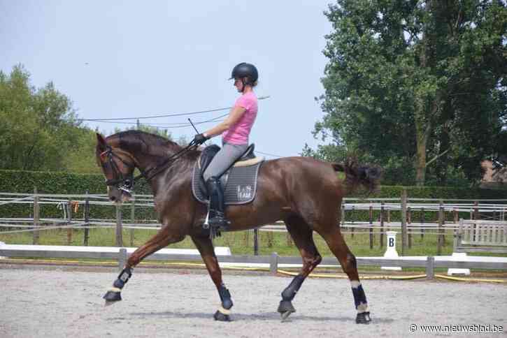 Petitie voor verbod op prikkeldraad na incident waarbij paard sterft en ruiter zwaar gewond raakt
