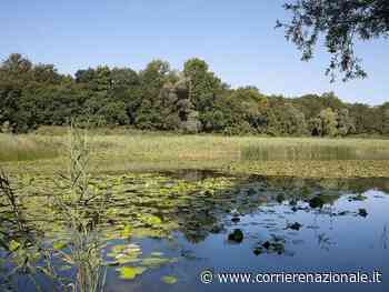 Più valore ai Siti Palafitticoli Unesco dell’arco alpino - Corriere Nazionale