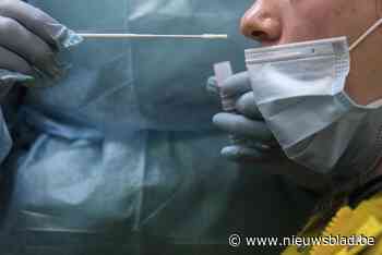 Al 18 omikronbesmettingen bevestigd in ons land, Van Ranst: “Het zijn er zeker veel meer” - Het Nieuwsblad