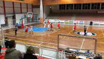 Netta vittoria per l'Amatori San Severino contro la Vigor Matelica - Serie D Regionale Girone B - Basketmarche.it
