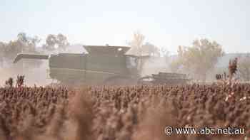 Farm production tipped to break record $78b this financial year