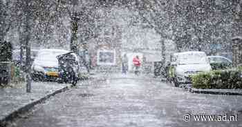 Code geel voor dichte mist in zuiden en zuidwesten, vanavond sneeuw in oosten - AD.nl