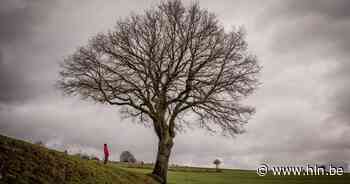 Code geel voor hele land: KMI waarschuwt voor gladde wegen en mist, kans op (winterse) buien - Het Laatste Nieuws