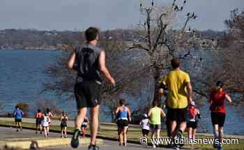 After a two-year hiatus, Dallas Marathon is coming ‘back to life’ with 50th anniversary race - The Dallas Morning News