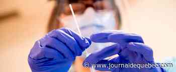 Le variant Omicron «ne semble pas circuler dans la communauté»