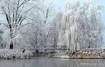 Jahreskalender der Wasserwacht: Das Spektakel Natur - Passauer Neue Presse