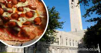Pizza pranks, coin crimes and social media abuse - what councillors have to put up with