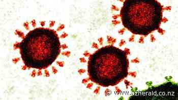 Covid 19 Delta outbreak: How can scientists update coronavirus vaccines for Omicron? - New Zealand Herald