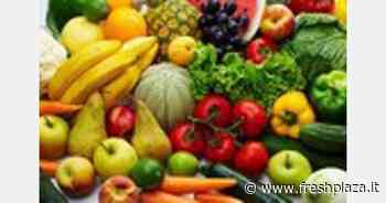Crotone: sequestrati 600 kg di prodotti ortofrutticoli - Freshplaza.it