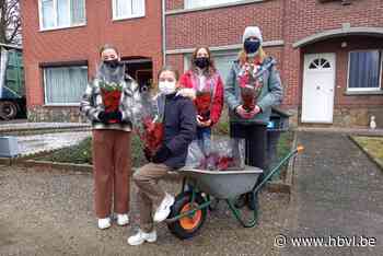 KLJ-meisjes van Eigenbilzen verkopen kerstrozen - Het Belang van Limburg