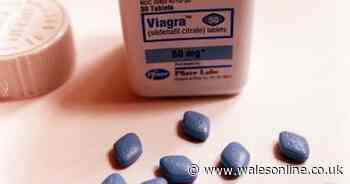 Viagra may be useful treatment for Alzheimer's, study suggests