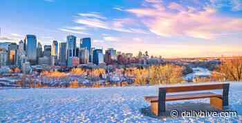 23 things to do in Calgary this week: December 6 to 12 | Listed - Daily Hive