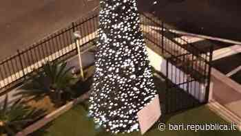 Bari, appello dalla cappella di Santa Rita al San Paolo: "Un albero di Natale per rendere felici i più piccol… - La Repubblica