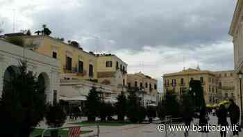 Si accende il grande Albero di Natale in piazza del Ferrarese: dalle 17.30 l'evento "in forma estremamente ridotta" - BariToday
