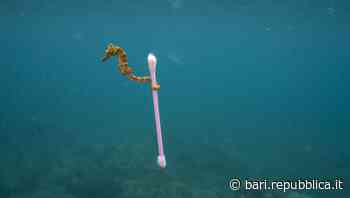 'Planet or plastic?': a Bari la mostra del National Geographic sull'inquinamento da plastica - La Repubblica