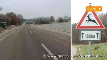 Wildunfälle im Wittelsbacher Land: Hier ist besondere Vorsicht geboten - Augsburger Allgemeine
