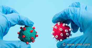 Omicron in the US: How the new COVID variant compares to delta - CNET