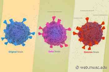 'Pay attention to Omicron, worry more about Delta' - Medical University of South Carolina