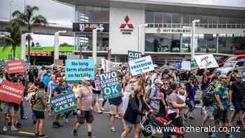 Covid-19 Delta outbreak: Newmarket shop owners fearful of further anti-vaccine mandate protests - 'I had to lock the door' - New Zealand Herald